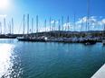 Yachthafen von Palma de Mallorca
